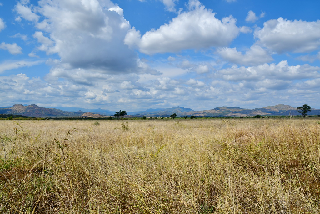 Through Omo National Park